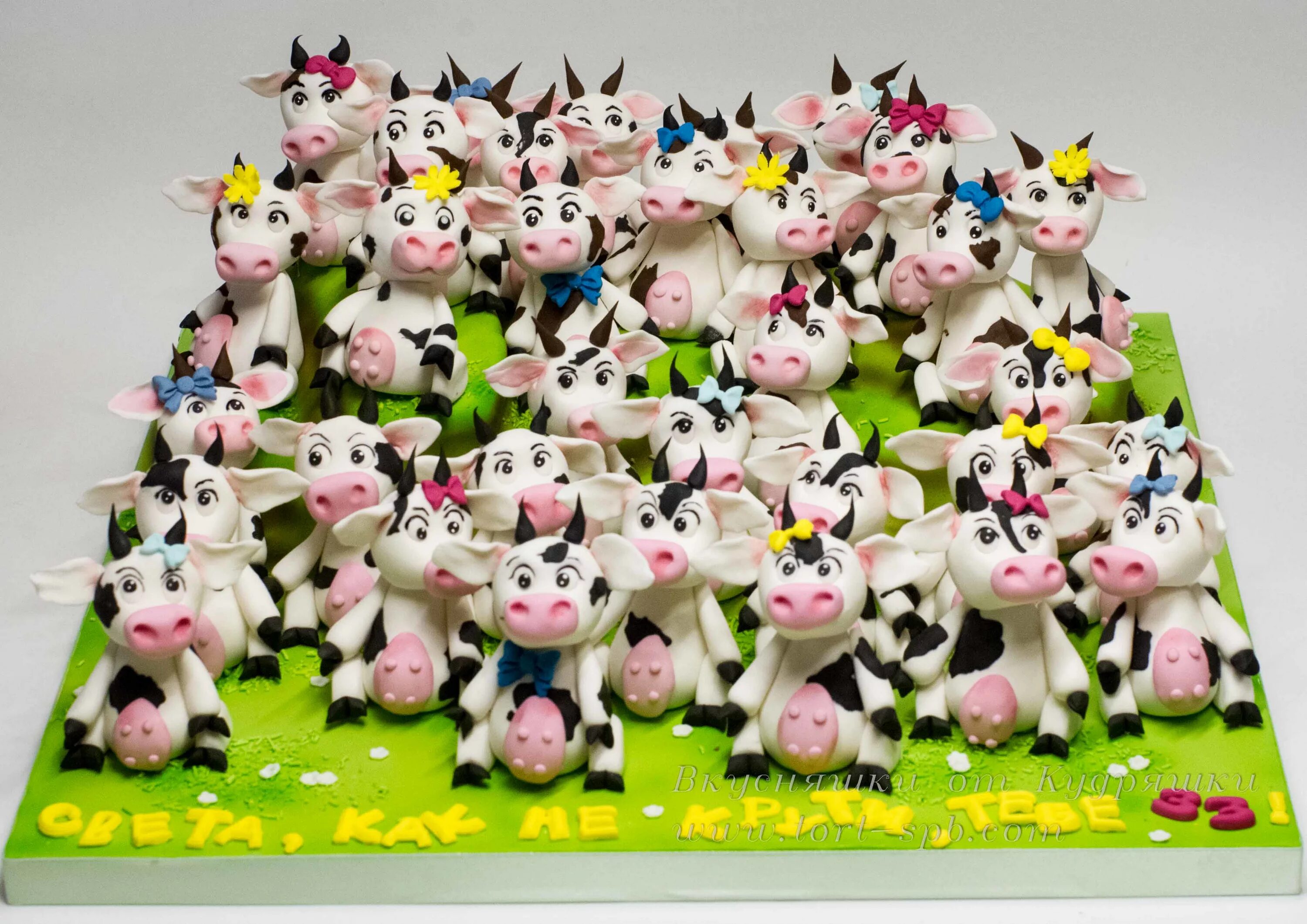 Фотосессия на 33 года девушке день рождения. Идеи на 33 года. Торт на 33 года мужчине. Торт с коровой. Торт любимому.