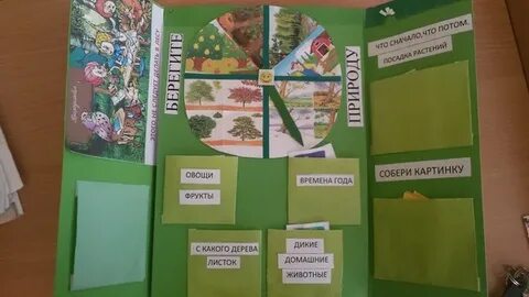 Лэпбук покрытосеменные