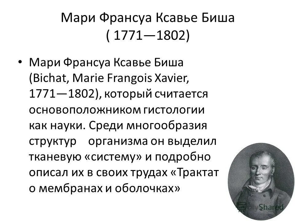 Основоположник гистологии. Основоположник гистологии. Основоположник гистологии. Мальпиги - основоположник гистологии. Основоположник гистологии.