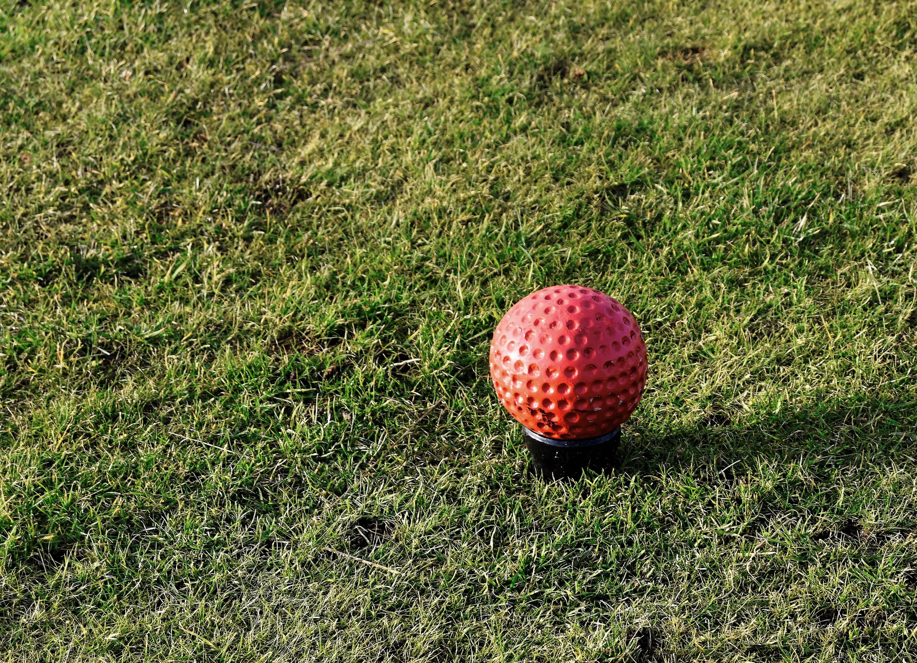 Игра мяч на траве. Мячик для гольфа. Красный мяч. Трава для игры. Мяч на траве.