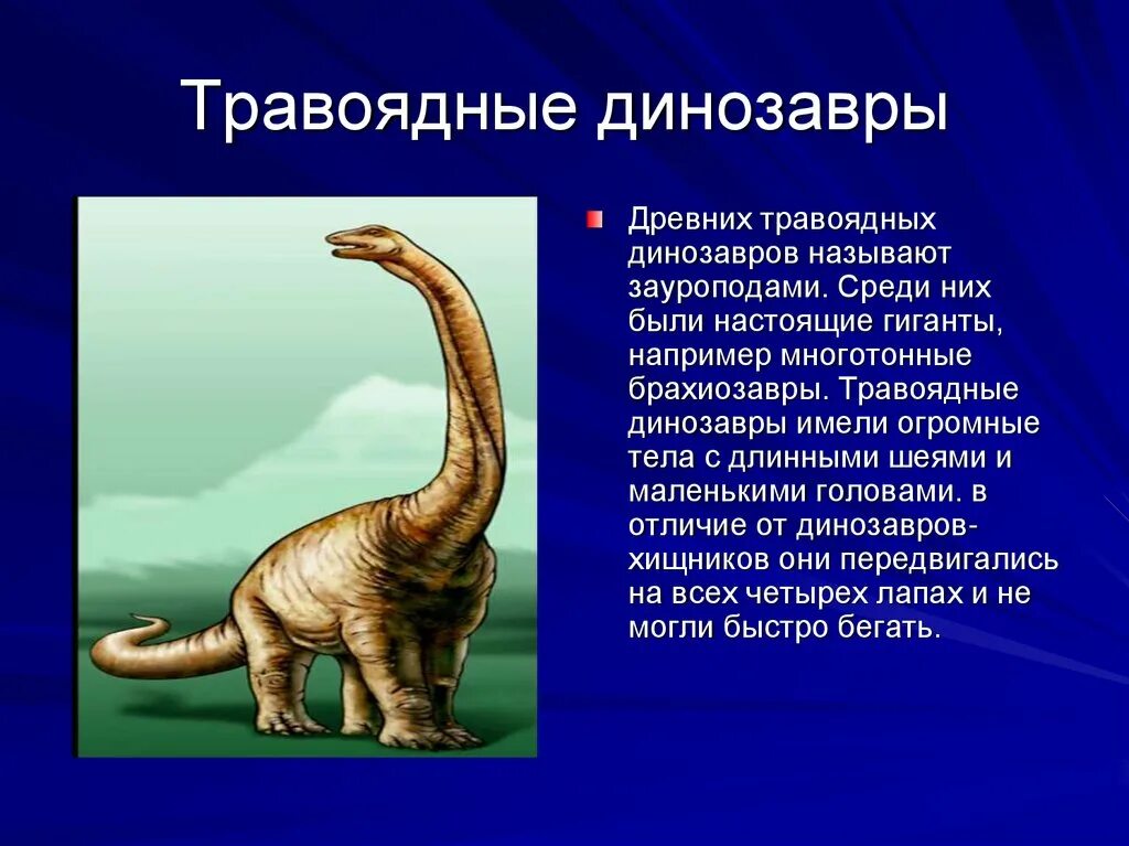 Древние пресмыкающиеся сообщение. Травоядные динозавры брахиозавр. бронтозавр брахиозавр. древние пресмыкающиеся, древние рептилии. древние пресмыкающиеся 7 класс биология.