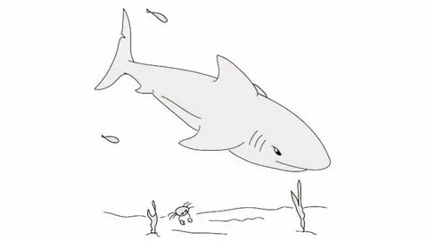 Нарисовать рисунок к рассказу толстого акула