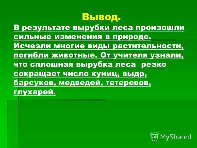 история которая происходила в лесу 5 класс. сочинение на тему забавный случай. вспомните историю которая происходила в лесу. история которая происходила в лесу 5 класс. сочинение про лес.