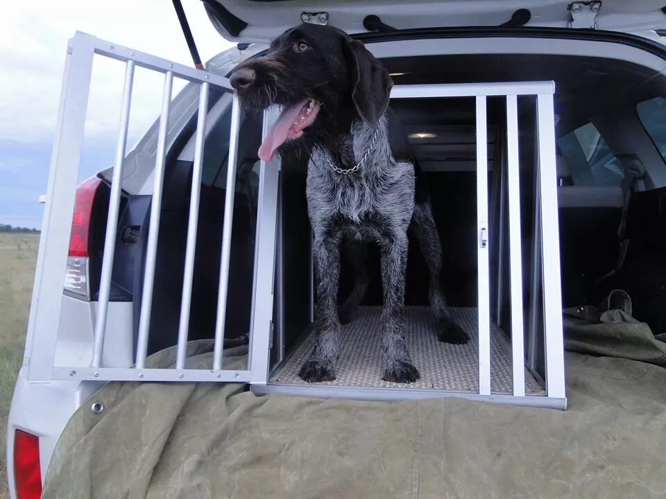 Ferplast atlas car 100. Автобокс для перевозки собак трикси. Переноска ferplast atlas 100. Вольер для собаки в машину. Клетка в багажник для собаки.