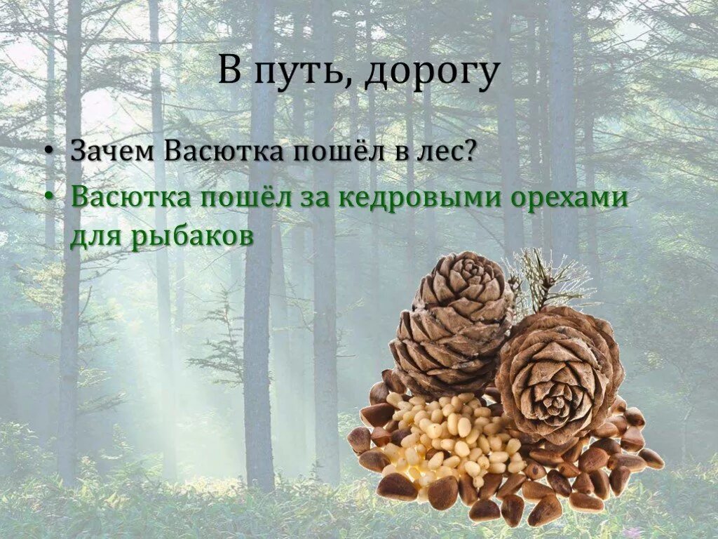 Зачем Васютка пошел в лес. Васютка в лесу. Васюткино озеро. Васютка отправляется в лес за орешками. Почему васютка разговаривал вслух