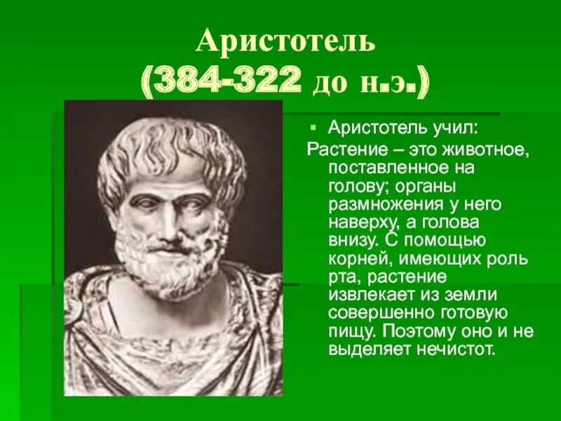 Аристотель 384-322 до н.э. Аристотель (384–322 гг. до н. э.), управление. Аристотель (384–322 до н. э.), греческий философ.. Портрет философа Аристотеля.