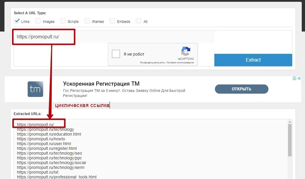 Url совпадает