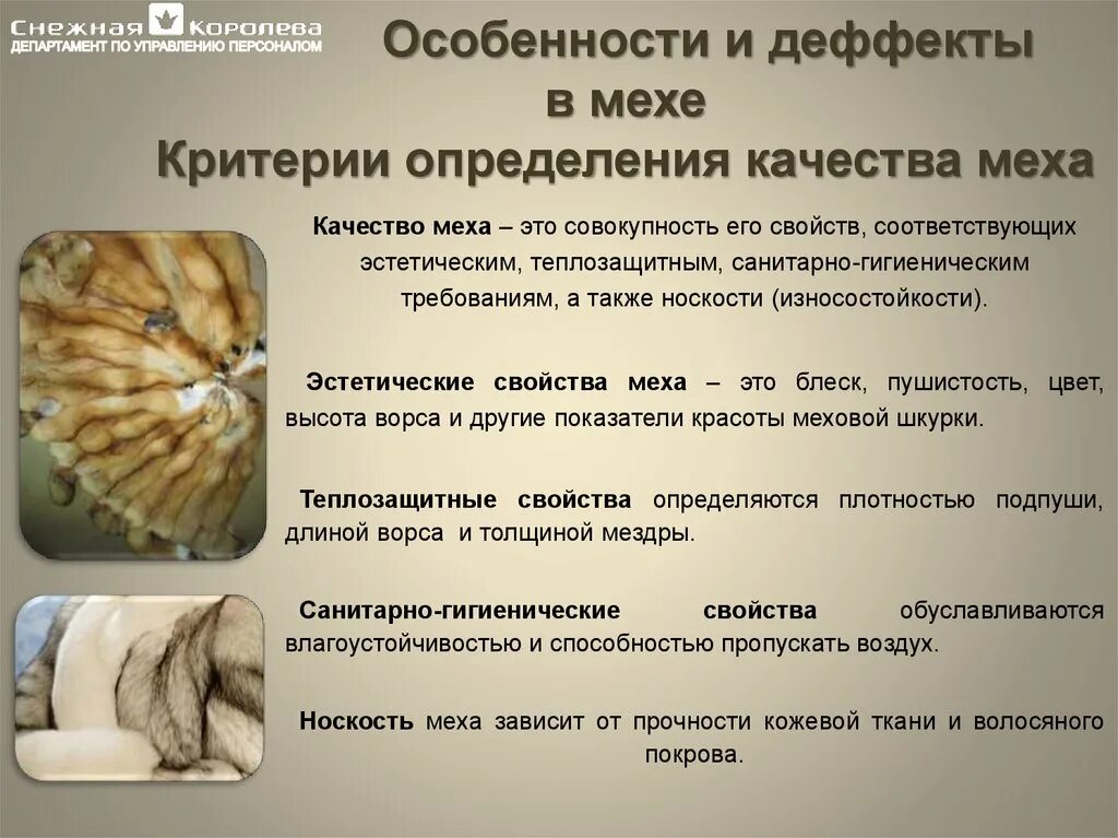 Правила ухода за одеждой из меха. Правила ухода за мехом. Название мехового полушубка. Упаковка меховых товаров. Чип на шубе.