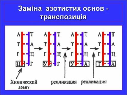 Транспозиция примеры