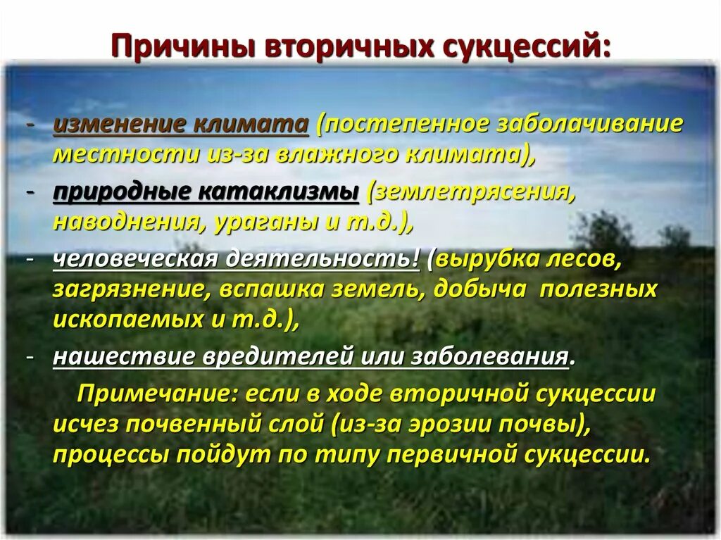 Приведите примеры сукцессий. Причины первичной сукцессии. Причины вторичной сукцессии. Причины вторичный сукцессиий. Саморазвитие экосистем сукцессии.