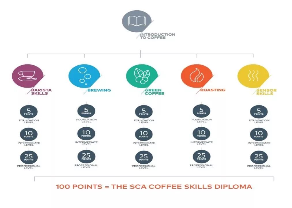 SCA (Specialty Coffee Association). Стандарт SCA. Оценка кофе SCA. SCA кофе лого.