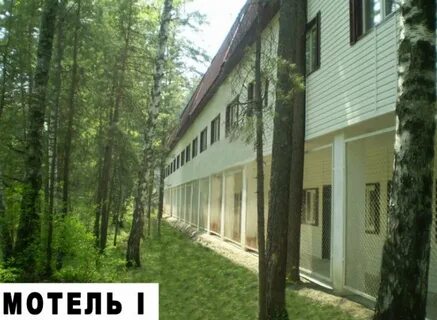 Шале прискальный горный алтай