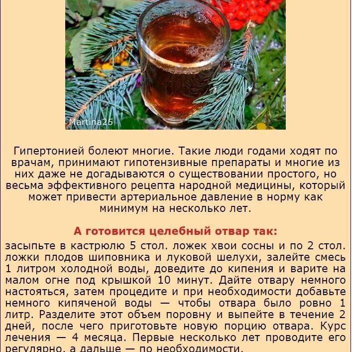 Когда пить от давления утром или вечером. Отвар хвои. народные рецепты от давления. настои настойки и отвары. отвар хвои луковой шелухи и шиповника.