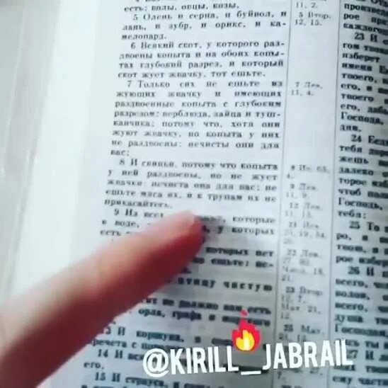 Православным можно есть свинину по библии. Библия запрещает есть свинину. в христианстве запрещено есть свинину. запрет есть свинину в библии. где в библии написано что нельзя есть свинину.