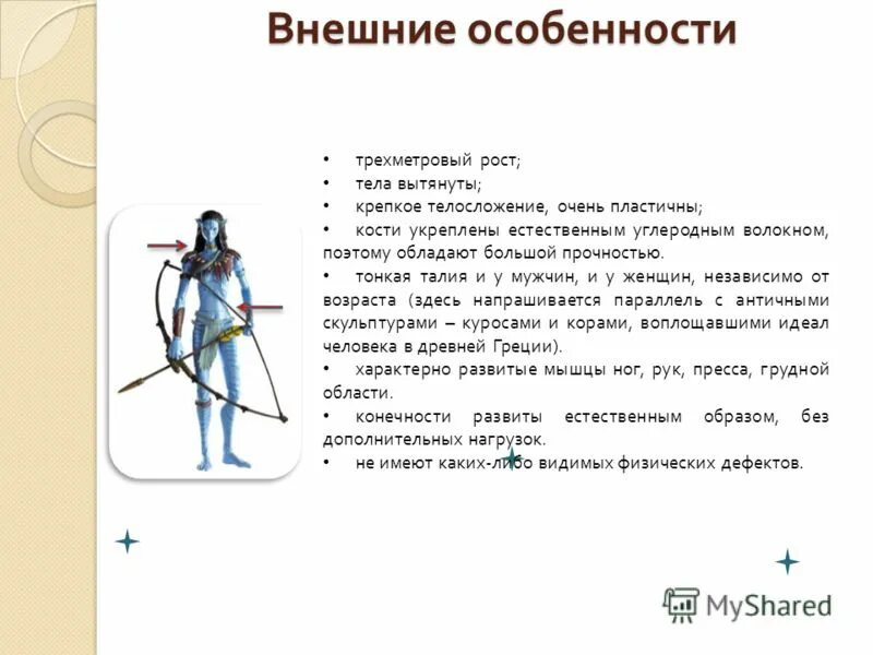 многощетинковый червь нереис. австралийский кольчатый червь. эунице афродита червь боббита. австралийский пурпурный кольчатый червь. трех метровый или трехметровый.
