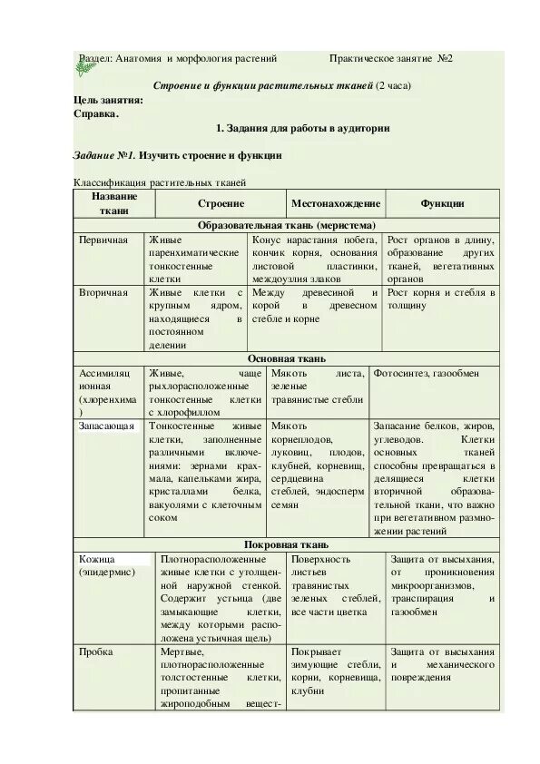 Типы тканей растений и их функции. Классификация растительных тканей. Классификация растительных тканей схема. Ткани растений систематика.