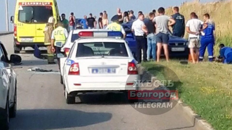 Канал жесть белгород новости. Происшествия белгород сейчас. Жесть белгород телеграм. Канал жесть белгород новости. Жесть белгород телеграм-канал.