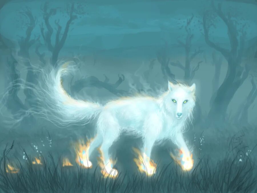 Дух волка. Магический волк. Мистические волки. Мифический белый волк. Магические звери 1