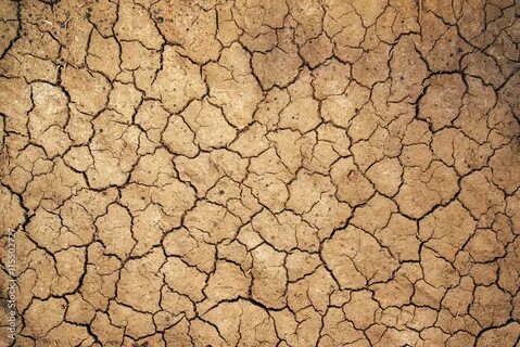 Damaged lands