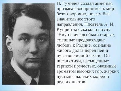 Н гумилев краткая биография