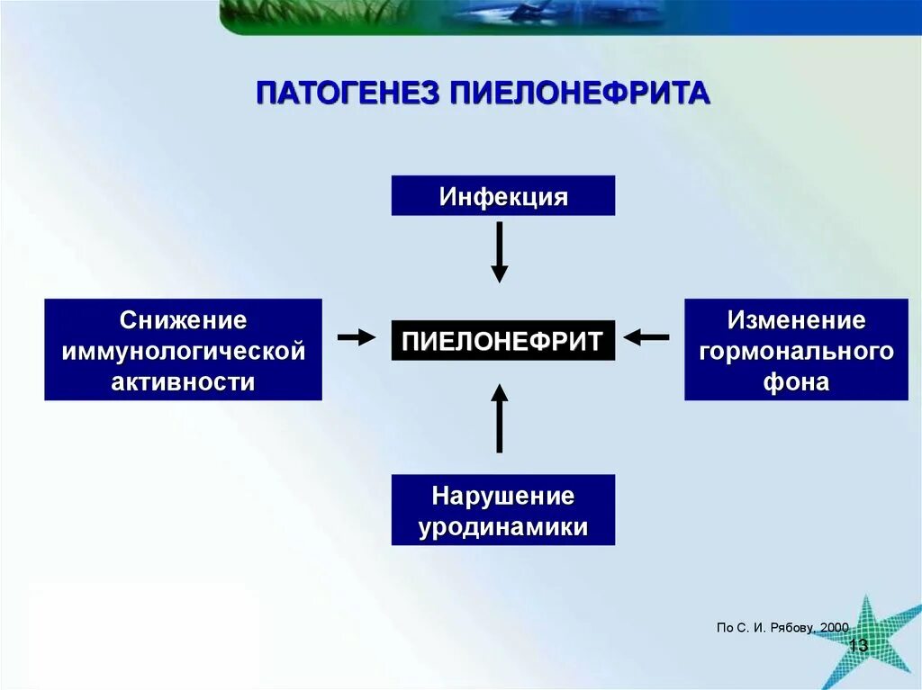 Патогенез хронического пиелонефрита. Патогенез хронического вторичного пиелонефрита. Хронический пиелонефрит патогенез. Патогенез хронического пиелонефрита схема. Патогенез острого пиелонефрита схема.