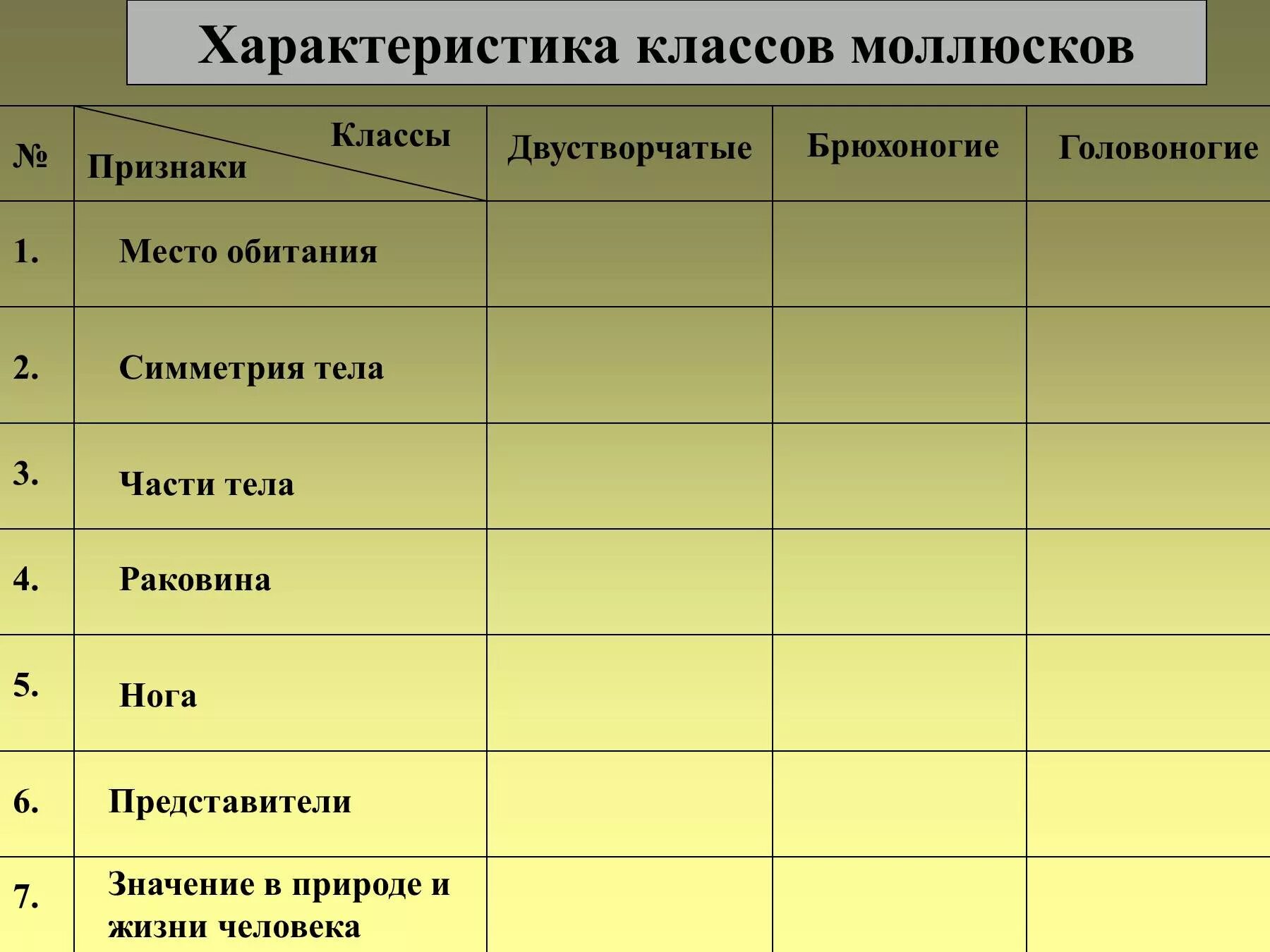 Общая характеристика классы моллюсков. Таблица сравнение брюхоногих двустворчатых и головоногих. Таблица по биологии 7 класс класс головоногие. Класс брюхоногие моллюски 7 класс таблица. Моллюски брюхоногие части тела таблица по биологии 7 класс.