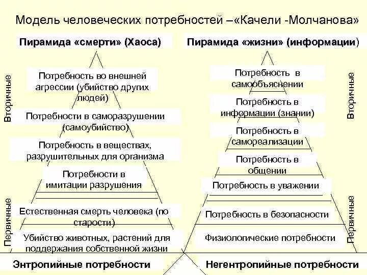 Модели человеческих потребностей. Классификация потребностей схема. Потребности организма и поведение человека. Потребность в моделировании. Модель потребностей грейвса