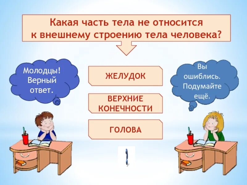 Что изучает внешнее строение. Что изучает внешнее строение