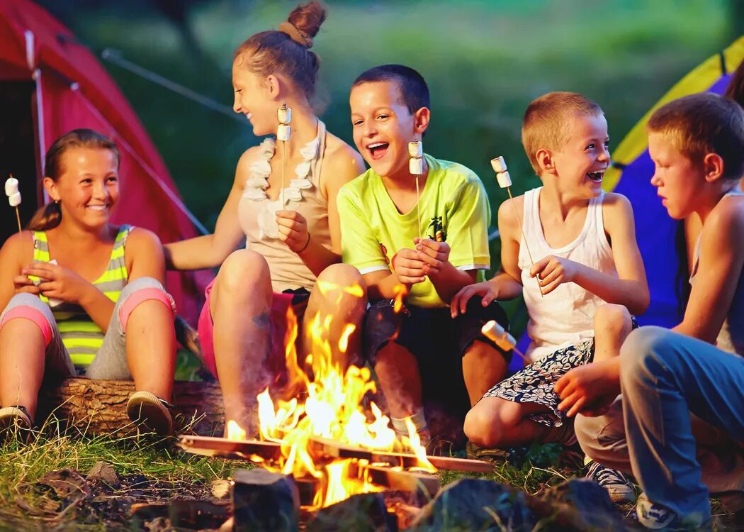Организация отдыха на природе. Детский лагерь. загородный лагерь. места для отдыха с детьми. летние развлечения.
