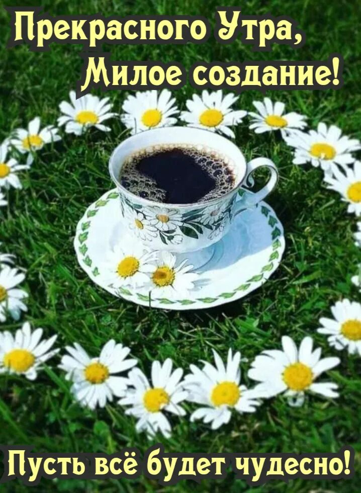 1 июля доброе утро. Открытки с добрым июльским утром. доброе июльское утро хорошего дня. доброе летнее утро июля.