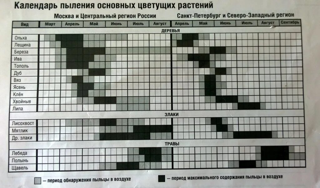 Календарь пыльцы. Календарь цветения. Календарь аллергии. Календарь пыления основных цветущих растений. Календарь аллергенов.