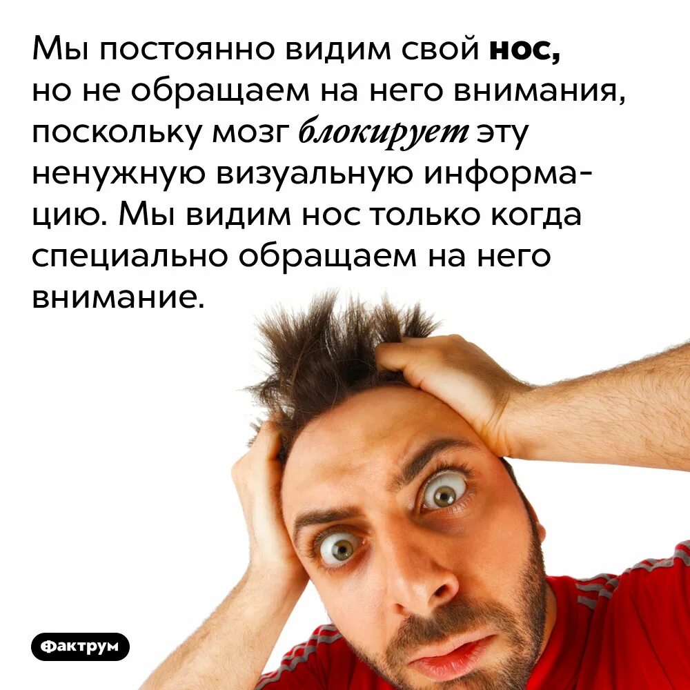 Интересные факты с юмором. Человек всегда видит свой нос. Видим свой нос. Факт юмор. Почему человек перестает сниться