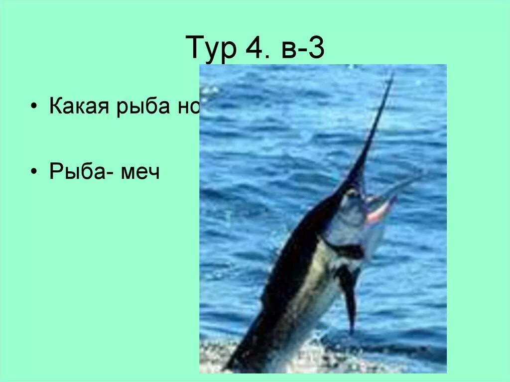 Рыба с длинным острым носом морская название. Атлантический голубой марлин. Марлин рыба индийский океан. Рыба меч малек. Рыба с длинным носом название.