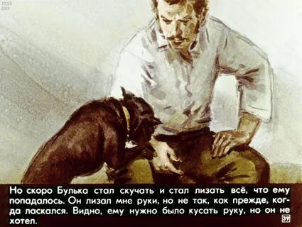 Рассказ льва николаевича толстого булька