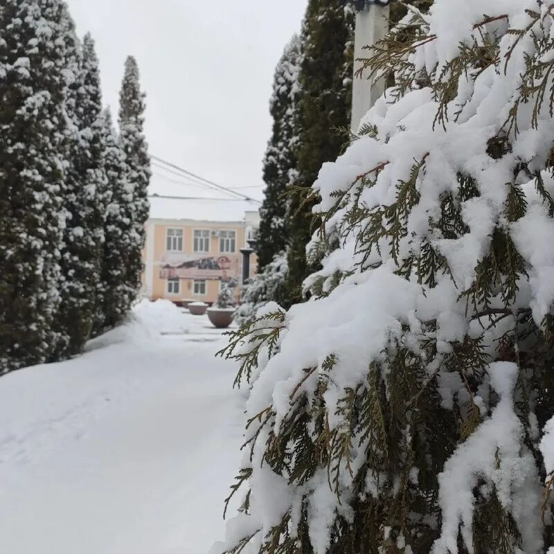 Чаплыгин лайв. Чаплыгин культура рф. Костюм колыбельское демкино. Население г чаплыгин липецкой области. Раненбург троицкий собор.