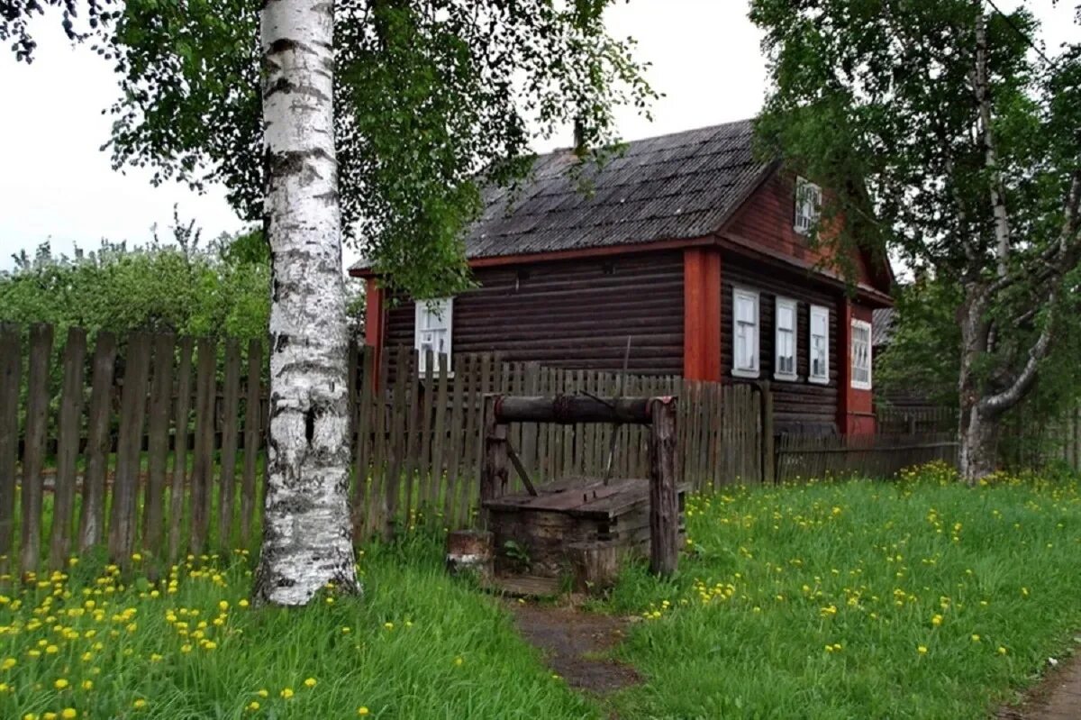 Деревенский домик. Деревенский дом с березой. Красивый деревенский домик. Деревенский домик с колодцем.