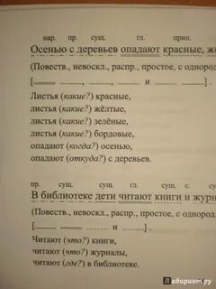 Деревьев морфологический разбор