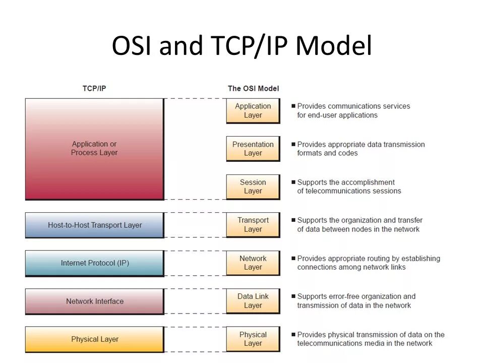 Модель osi tcp. Модель osi и tcpip. уровни модели dod (tcpip).. уровни osi и tcpip.