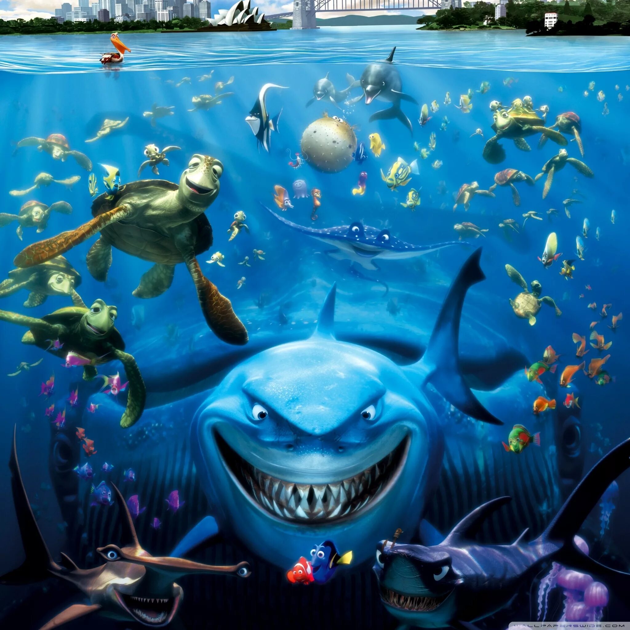 Finding collection. В поисках немо. постер &quot;в поисках немо&quot;. finding nemo nemo. акула в поисках немо обои.