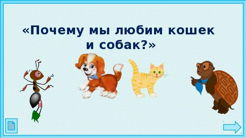 Нравится кошка собака. Нравится кошка собака