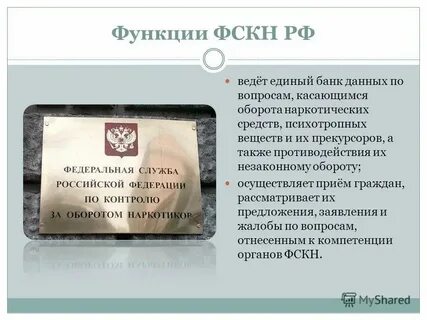 Служба по контролю за безнадзорными