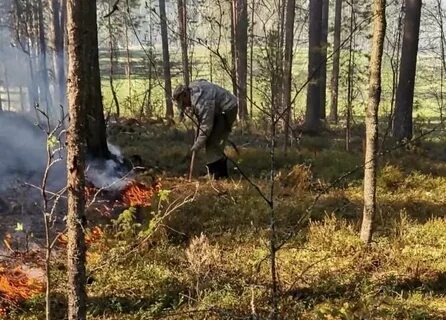 Происшедшее в карелии