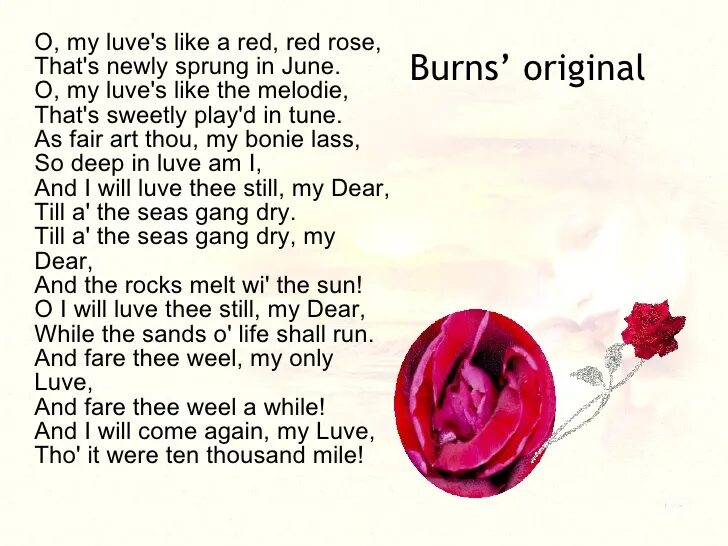 Red Red Rose Robert Burns текст. Стих a Red Red Rose. O my Love is like a Red Red Rose стих. She likes red