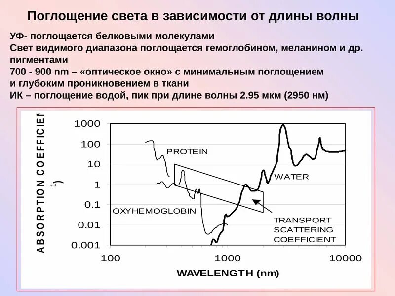 Поглощение света. Поглощение от длины волны. Поглощение света зависит. Поглощение световых волн. Вода поглощает свет