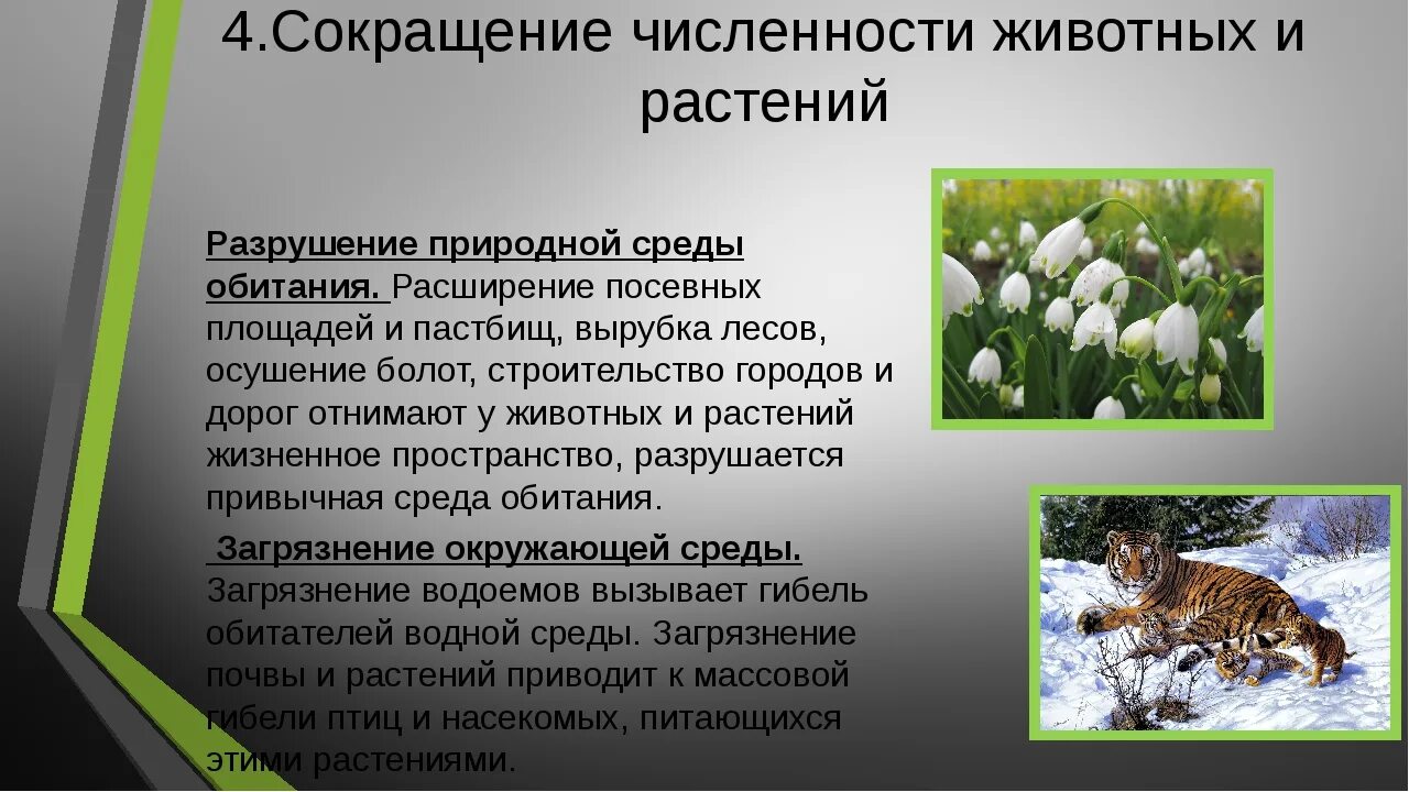 Какой пример иллюстрирует влияние природы