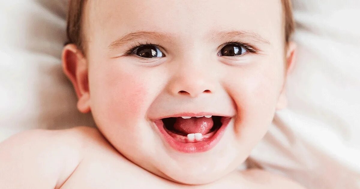 первые молочные зубы прорезаются