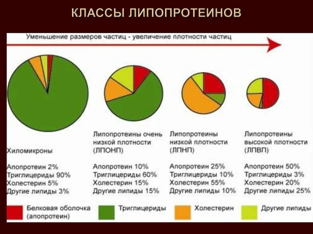 Уменьшение размера частиц. Липопротеины высокой плотности ЛПВП строение. Липопротеины промежуточной плотности строение. Липопротеины высокой плотности структура. Классификация липопротеидов.