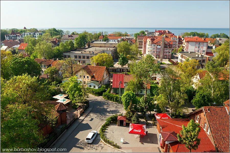 Зеленоградск калининградской области. Курортная улица зеленоградск. Зеленоградск город работа. Художественная школа зеленоградск калининградская область. Зеленоградск красная горка.