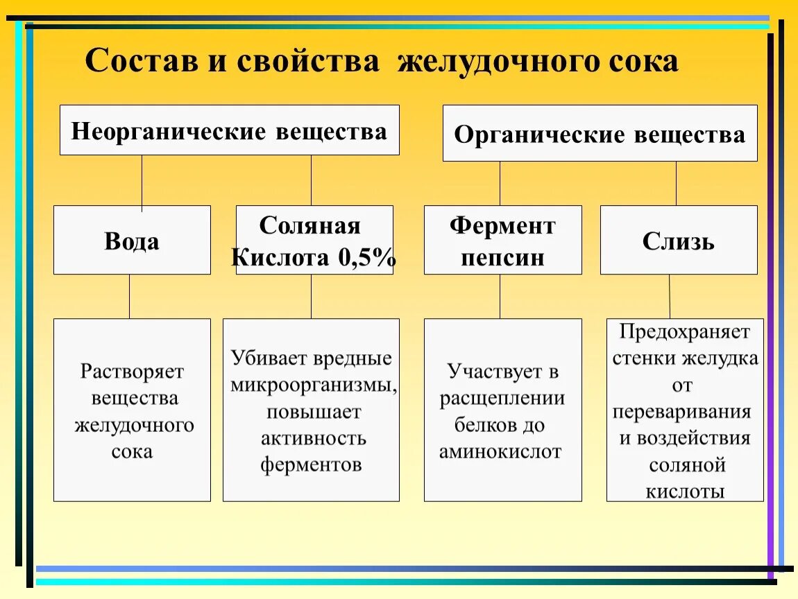 Состав желудочного сока. Состав желудочного сока человека. Состав желудочного сока таблица. Состав желудочного сока физиология.