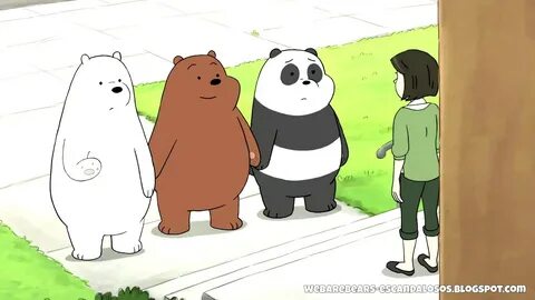 Bear episode